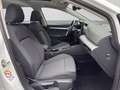 Volkswagen Golf 1.5 eTSI DSG LIFE PANO HuD AREAVIEW AHK Weiß - thumbnail 4