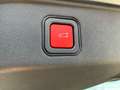 Alfa Romeo Junior 1.2  SPECIALE IBRIDA 2xKlima ACC AUT Kam. - thumbnail 17