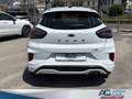 Ford Puma Puma 1.0 ecoboost h ST-Line s Bianco - thumbnail 5