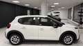 Citroen C3 1.5 bluehdi Feel VAN N1 Bianco - thumbnail 10