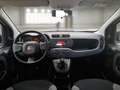 Fiat Panda 1.0 70cv S&S Hybrid 5 PORTE - thumbnail 7
