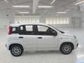 Fiat Panda 1.0 70cv S&S Hybrid 5 PORTE - thumbnail 3