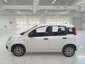 Fiat Panda 1.0 70cv S&S Hybrid 5 PORTE - thumbnail 5