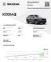 Skoda Kodiaq Kodiaq 1.5 TSI DSG Clever Zilver - thumbnail 37