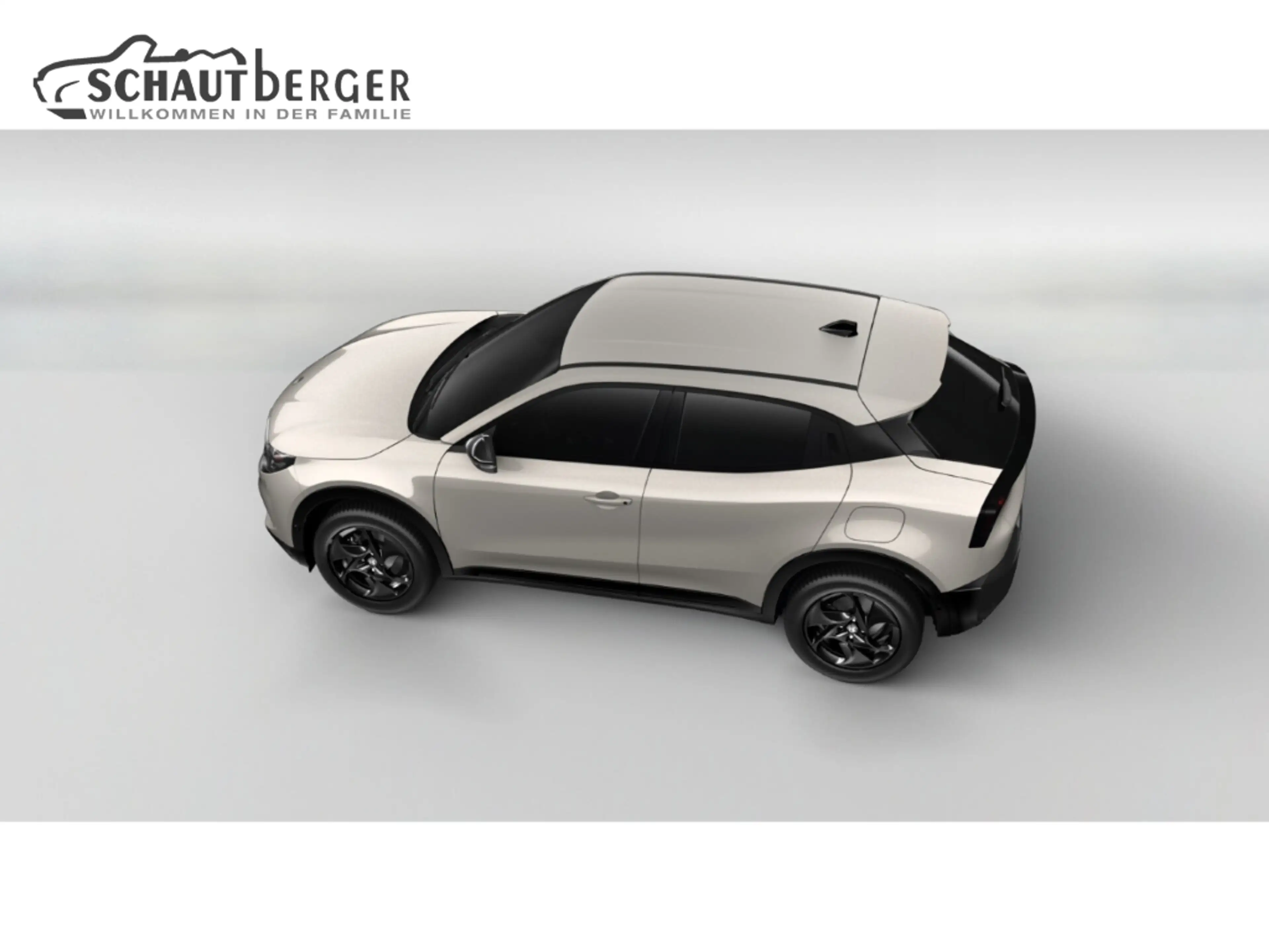 Alfa Romeo Junior Ibrida 1.2 VGT 48V-Hybrid 107 kW Sprint Navi Digit — photo 3