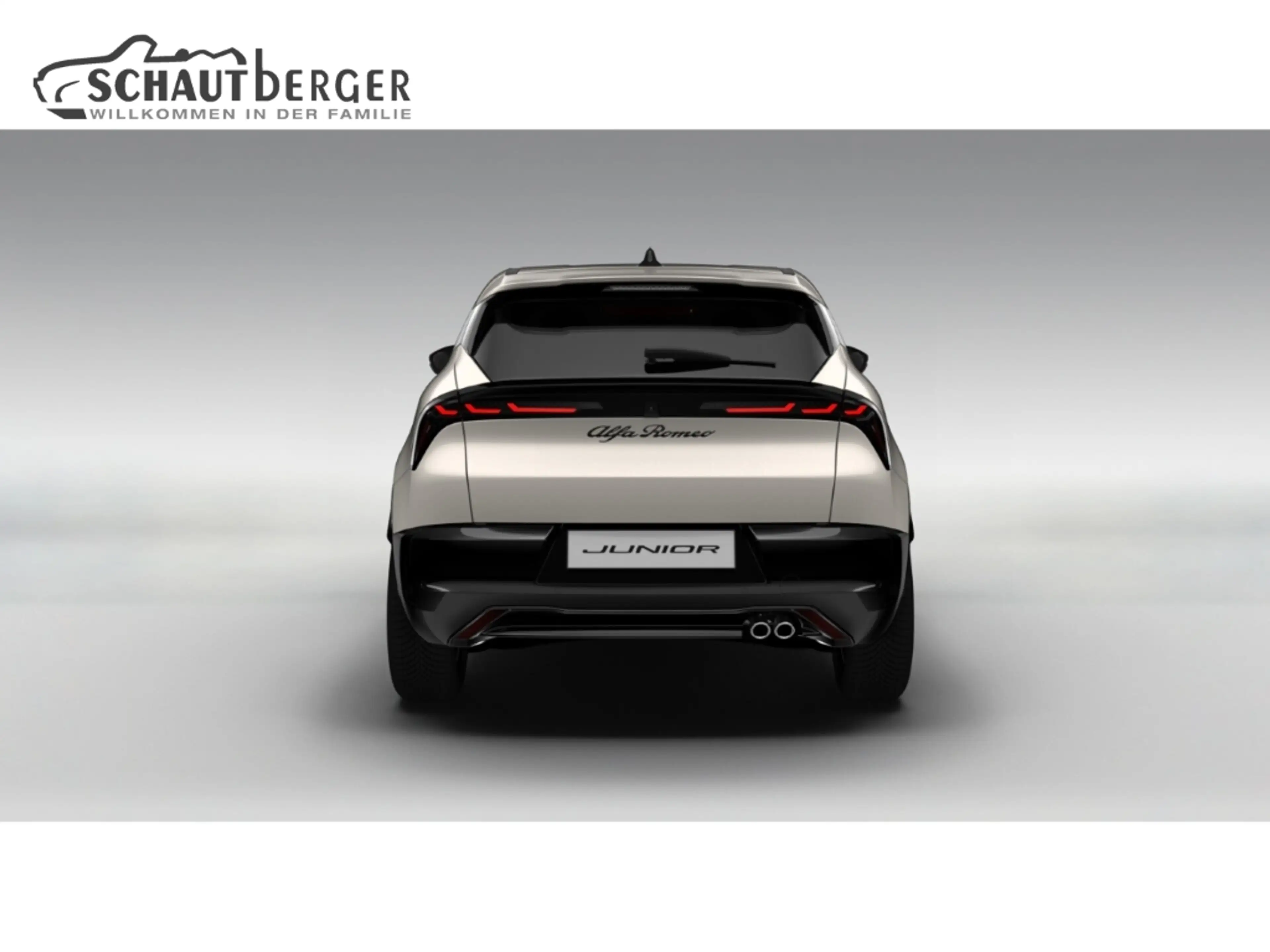 Alfa Romeo Junior Ibrida 1.2 VGT 48V-Hybrid 107 kW Sprint Navi Digit — photo 4