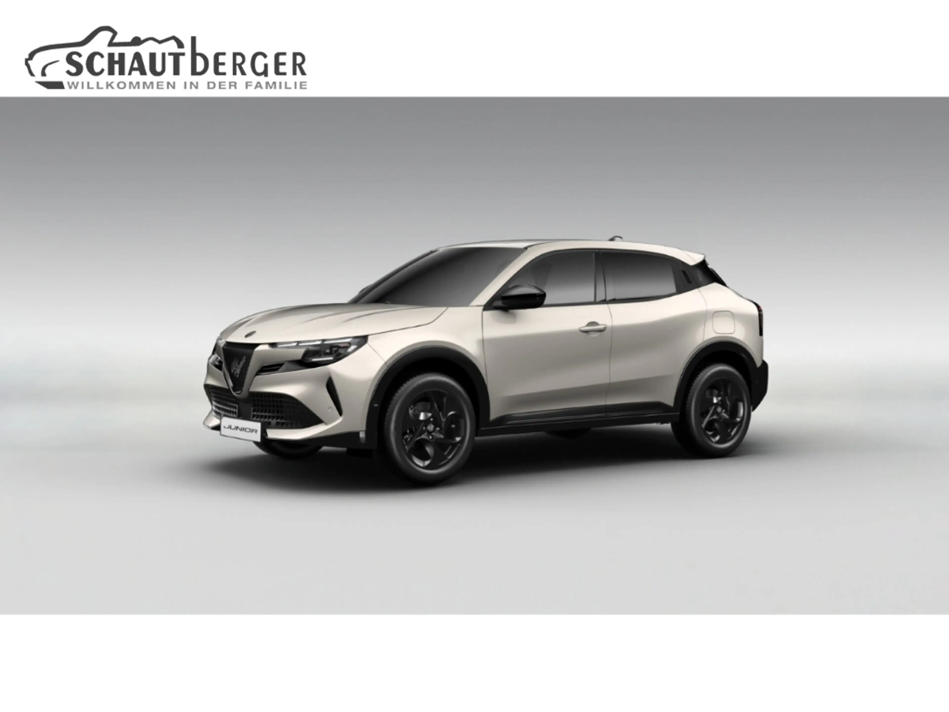 Alfa Romeo Junior Ibrida 1.2 VGT 48V-Hybrid 107 kW Sprint Navi Digit — photo 2