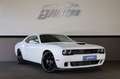 Dodge Challenger 3.6 GT/SHZ/KAMERA/BTH/MFL/AMBIE/R20 Weiß - thumbnail 1