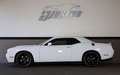 Dodge Challenger 3.6 GT/SHZ/KAMERA/BTH/MFL/AMBIE/R20 Weiß - thumbnail 3
