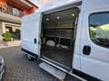 Fiat Ducato 35 L2 H2 NATURAL POWER Weiß - thumbnail 18