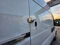 Fiat Ducato 35 L2 H2 NATURAL POWER Weiß - thumbnail 19