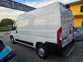 Fiat Ducato 35 L2 H2 NATURAL POWER Weiß - thumbnail 6