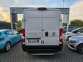 Fiat Ducato 35 L2 H2 NATURAL POWER Weiß - thumbnail 7