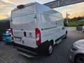 Fiat Ducato 35 L2 H2 NATURAL POWER Weiß - thumbnail 9