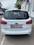 Ford B-Max B-MAX Ambiente 1,4 Duratec Ambiente Weiß - thumbnail 13