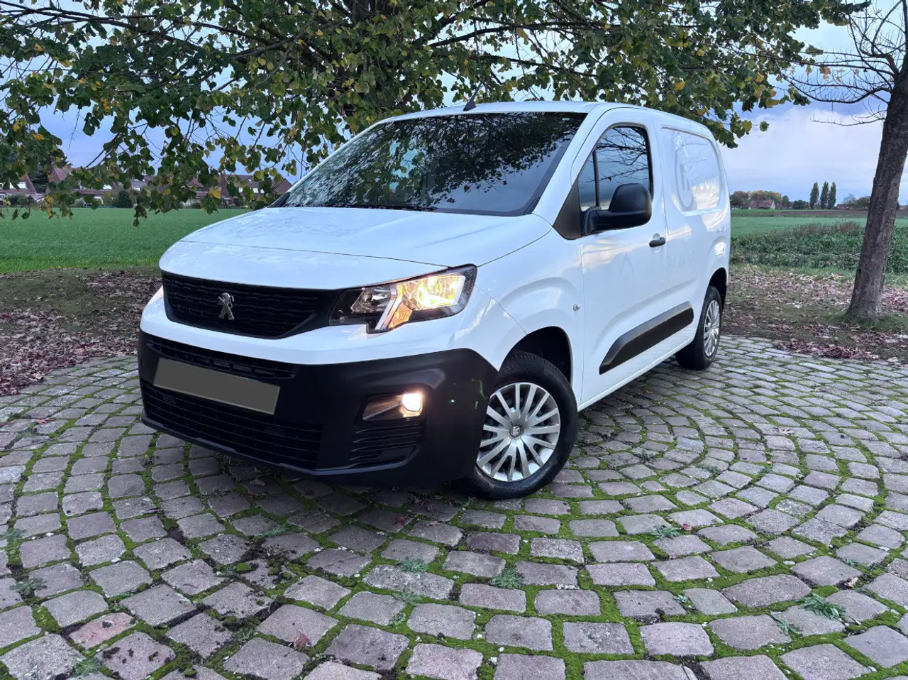 Peugeot Partner FOURGON STANDARD 650 KG BLUEHDI 75 BVM5 