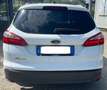 Ford Focus SW 1.6 tdci Bianco - thumbnail 5