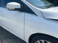 Ford Focus SW 1.6 tdci Bianco - thumbnail 15