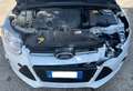 Ford Focus SW 1.6 tdci Bianco - thumbnail 11