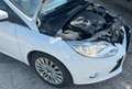 Ford Focus SW 1.6 tdci Bianco - thumbnail 12