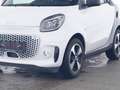 smart forTwo ForTwo EQ Cabrio Passion 22KW+LED+KAMERA+2xKABEL Weiß - thumbnail 3