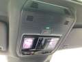 CUPRA Terramar 2.0 TSI 4 DRIVE DSG VZ AHK+MATRIX+NAVI Grau - thumbnail 27
