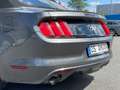 Ford Mustang 3.6 V6 Kamera erst 49.000 KM Szary - thumbnail 15