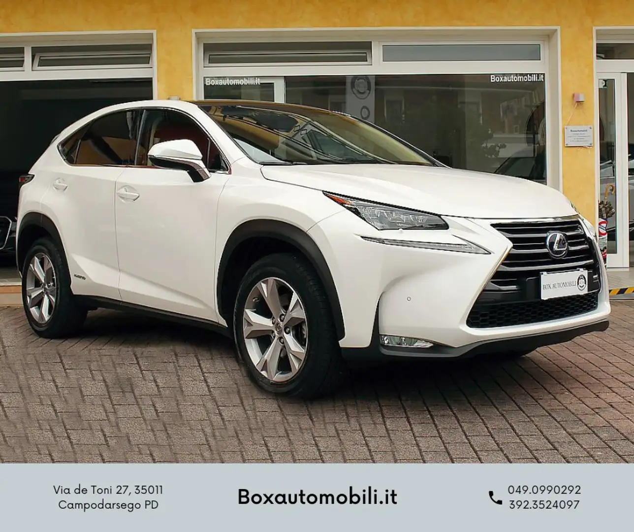 Lexus NX 300 NX 300h 2.5 Luxury 4wd cvt Білий - 1