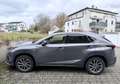 Lexus NX 300 F-Sport Grau - thumbnail 10