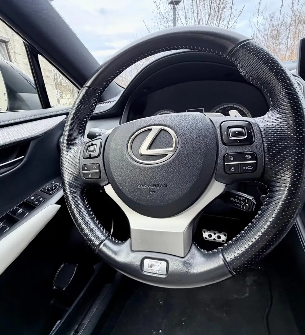 Lexus NX 300 F-Sport Grau - 2