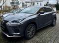 Lexus NX 300 F-Sport Grau - thumbnail 1