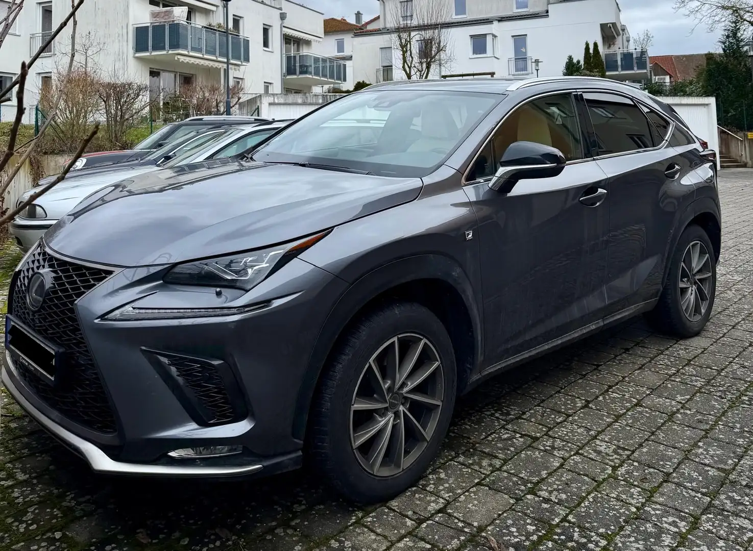 Lexus NX 300 F-Sport Grau - 1