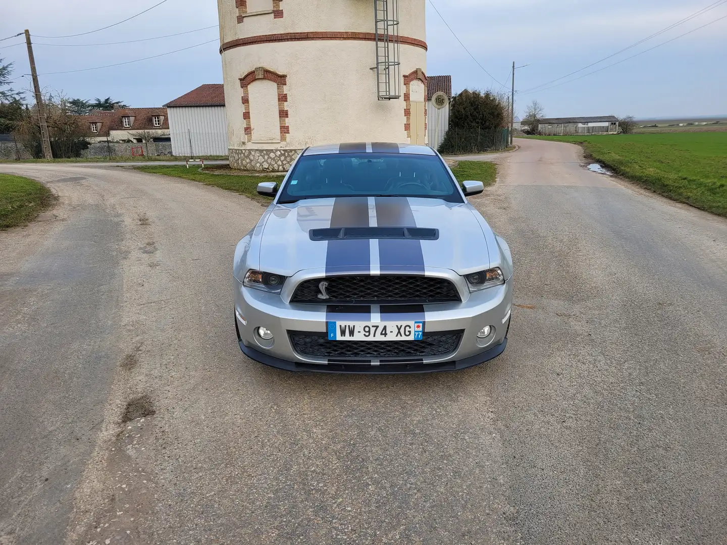 Ford Mustang GT500 Shelby SVT 5.4L 2012 Gris - 2