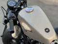 Harley-Davidson Sportster Forty Eight 48 special Kesstech wenig km Topzustand Oro - thumbnail 8