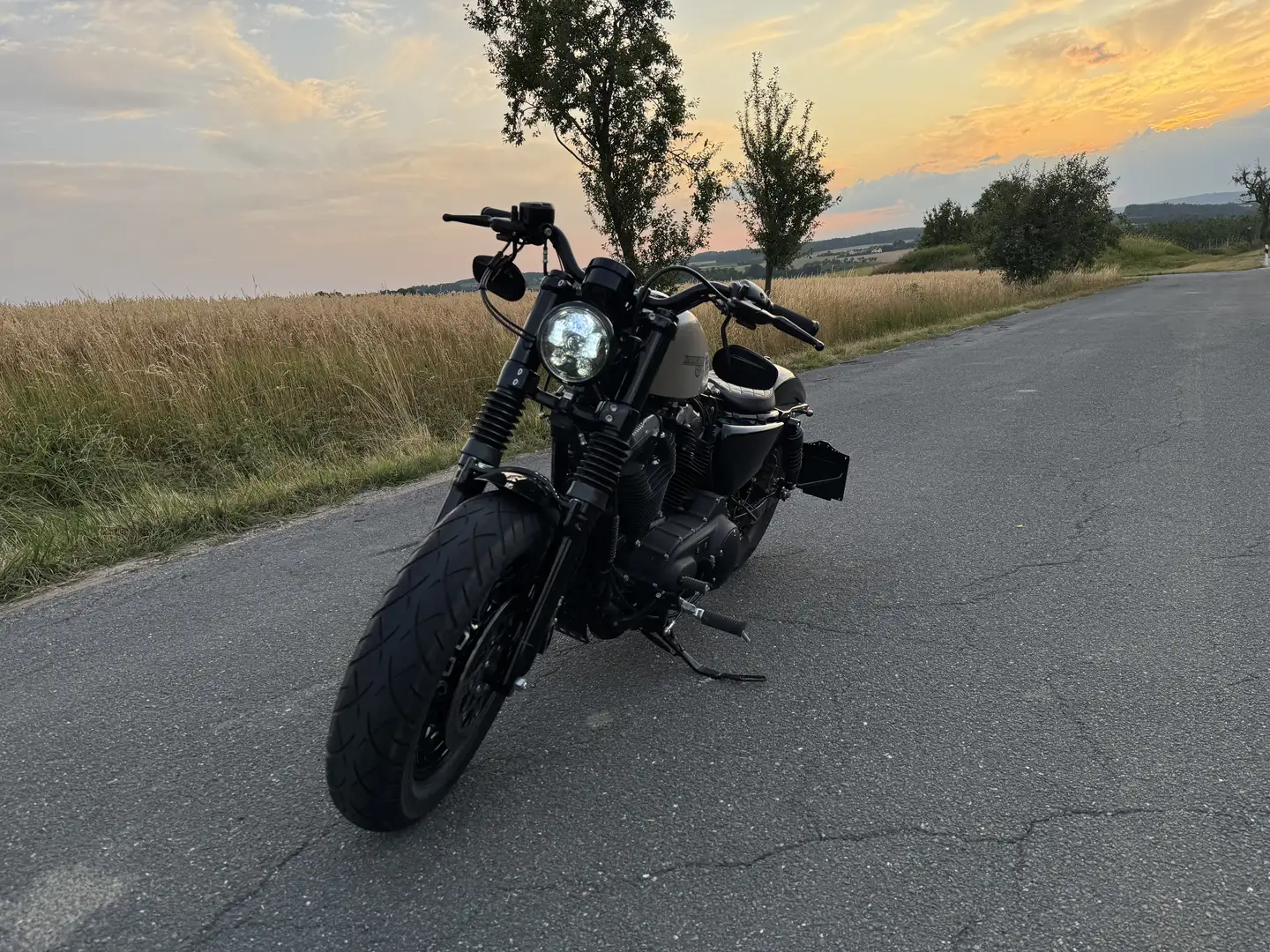 Harley-Davidson Sportster Forty Eight 48 special Kesstech wenig km Topzustand Oro - 2