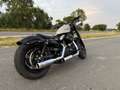 Harley-Davidson Sportster Forty Eight 48 special Kesstech wenig km Topzustand Oro - thumbnail 3