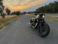 Harley-Davidson Sportster Forty Eight 48 special Kesstech wenig km Topzustand Oro - thumbnail 1