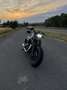 Harley-Davidson Sportster Forty Eight 48 special Kesstech wenig km Topzustand Oro - thumbnail 15