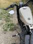 Harley-Davidson Sportster Forty Eight 48 special Kesstech wenig km Topzustand Oro - thumbnail 19