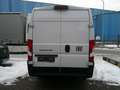 Fiat Ducato H2 Kastenwagen 35 L4H2 140 Multijet Maxi Weiß - thumbnail 4
