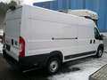 Fiat Ducato H2 Kastenwagen 35 L4H2 140 Multijet Maxi Weiß - thumbnail 3
