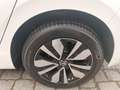 Volkswagen Golf VIII 1.5 eTSI Goal DSG *ACC*LED*PDC*SHZ* Weiß - thumbnail 7