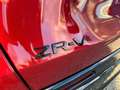 Honda ZR-V 2.0 e:HEV Advance Black Paket NEU SOFORT Rot - thumbnail 7