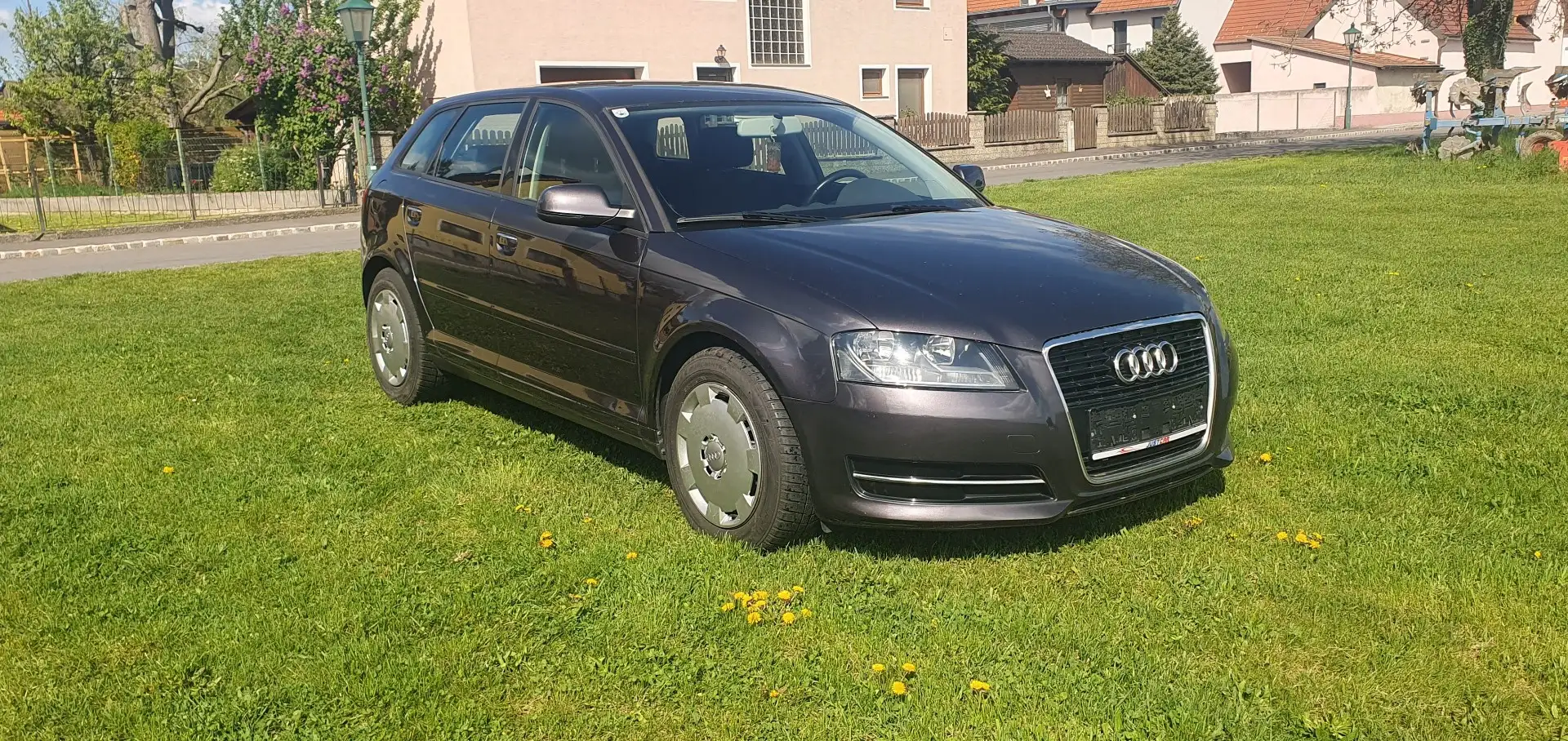 Audi A3 1,6 TDI e Violett - 1
