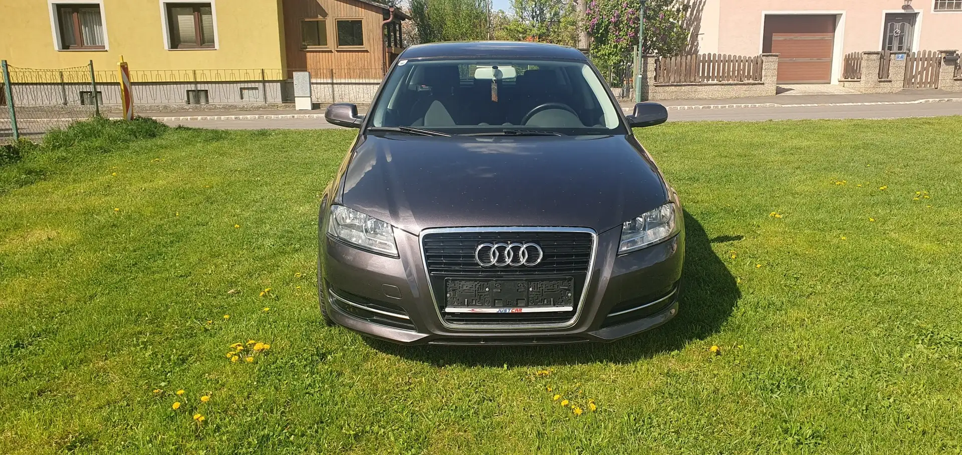 Audi A3 1,6 TDI e Violett - 2