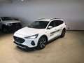 Ford Focus Turnier 1,5 EcoBlue Active Aut. Weiß - thumbnail 1