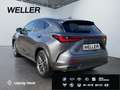 Lexus E-FOUR Business *Bi-LED*360*Leder*4x SHZ* Grau - thumbnail 7