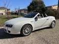 Alfa Romeo Spider Spider 2006 2.4 jdm 210cv Wit - thumbnail 6