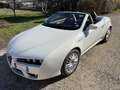 Alfa Romeo Spider Spider 2006 2.4 jdm 210cv Wit - thumbnail 7