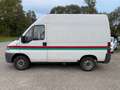 Fiat Ducato 10 2850/2,8t 1,9 Ds.**1 Besitz** Weiß - thumbnail 3